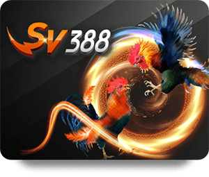 H19 Slot Baccarat Gameplay: What You Need to Know